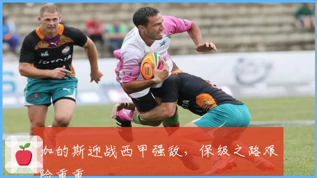 加的斯迎战西甲强敌，保级之路艰险重重